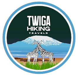 twigahikingtravels.com